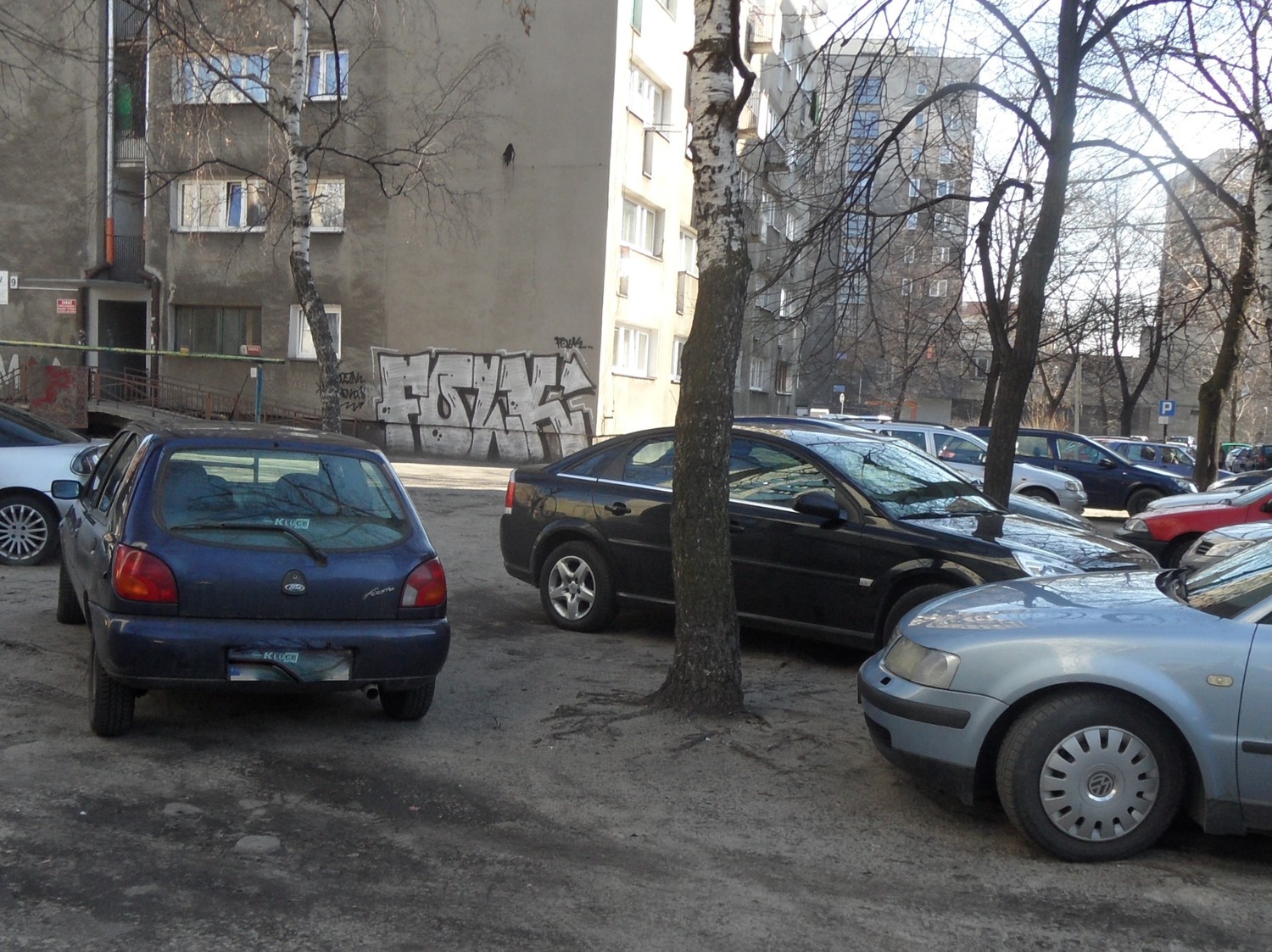 Samochodem między drzewa przy ul