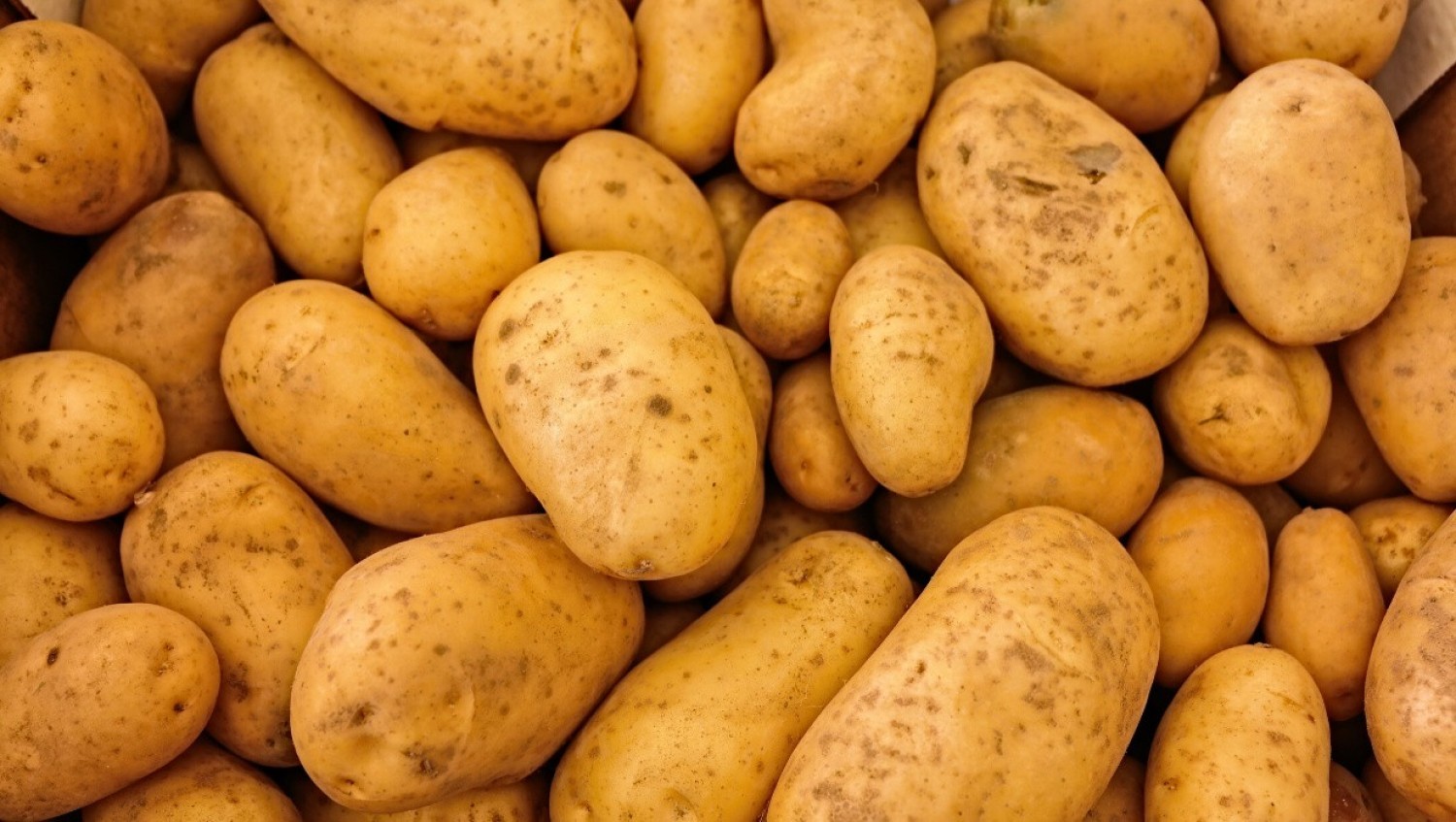 Ziemniaki