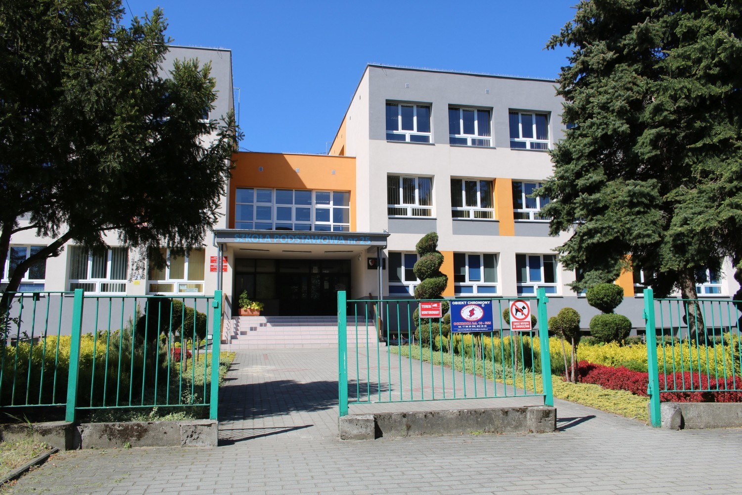 Z terenu Szkoły Podstawowej nr 25 w Rzeszowie może zniknąć 30 drzew