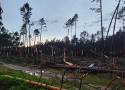 Połamane gałęzie, powalone drzewa. Burze zniszczyły lasy w Kujawsko-Pomorskiem. Jest ważny apel!