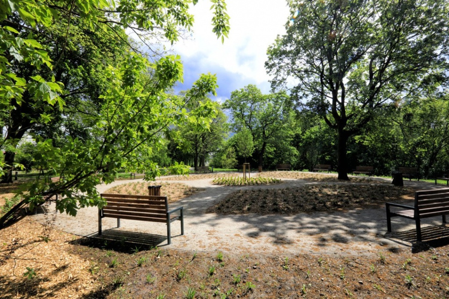 Zobacz, jak zmienił się Park Glazja w Toruniu. Oto najnowsze zdjęcia po rewitalizacji