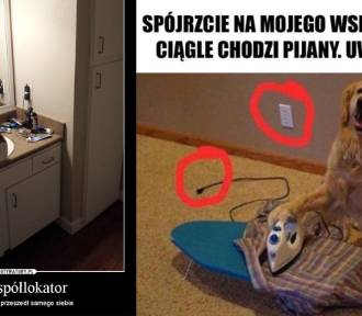 MEMY o współlokatorach. Wy też macie z nimi takie problemy?
