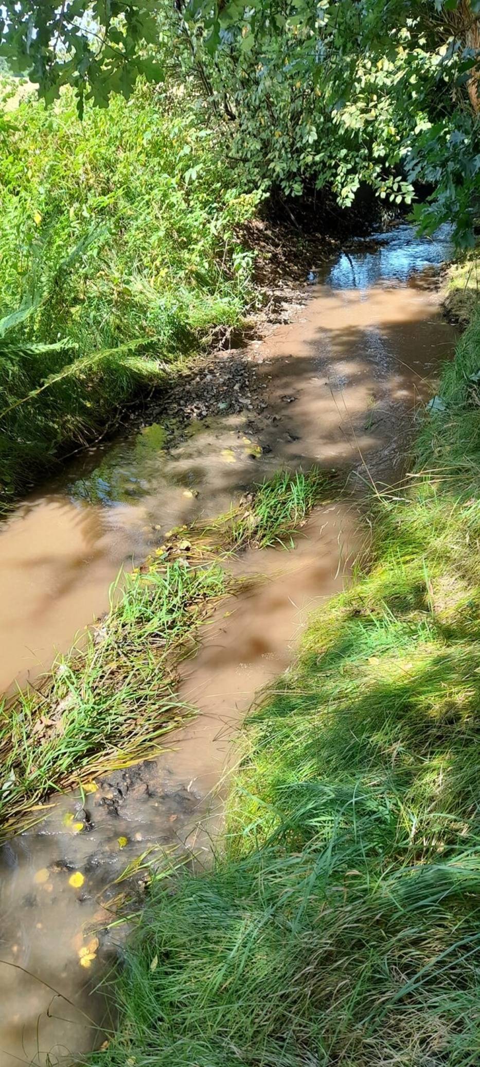 Rzeka Lesk w Boguszowie-Gorcach na Dolnym Śląsku zanieczyszczona. Mieszkańcy zaniepokojeni, strażnicy znaleźli przyczynę - zdjęcia 