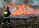 Wypalanie traw to dramat dla przyrody i ludzi, niektórzy nawet tracą życie. Strażacy apelują: Stop Pożarom Traw!