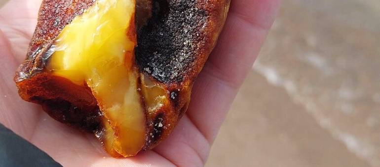 Zdjęcie artykułu z dnia 02-12-2025