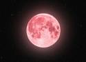 Pełnia Różowego Księżyca przyniesie wielu znakom zodiaku niezwykle trudny czas. Te trzy w szczególności powinny uważać!