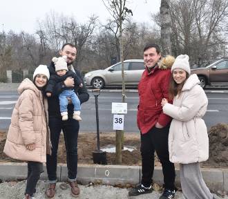 101 nowych drzew w Wolsztynie, to efekt akcji "Jedno dziecko - jedno drzewo"