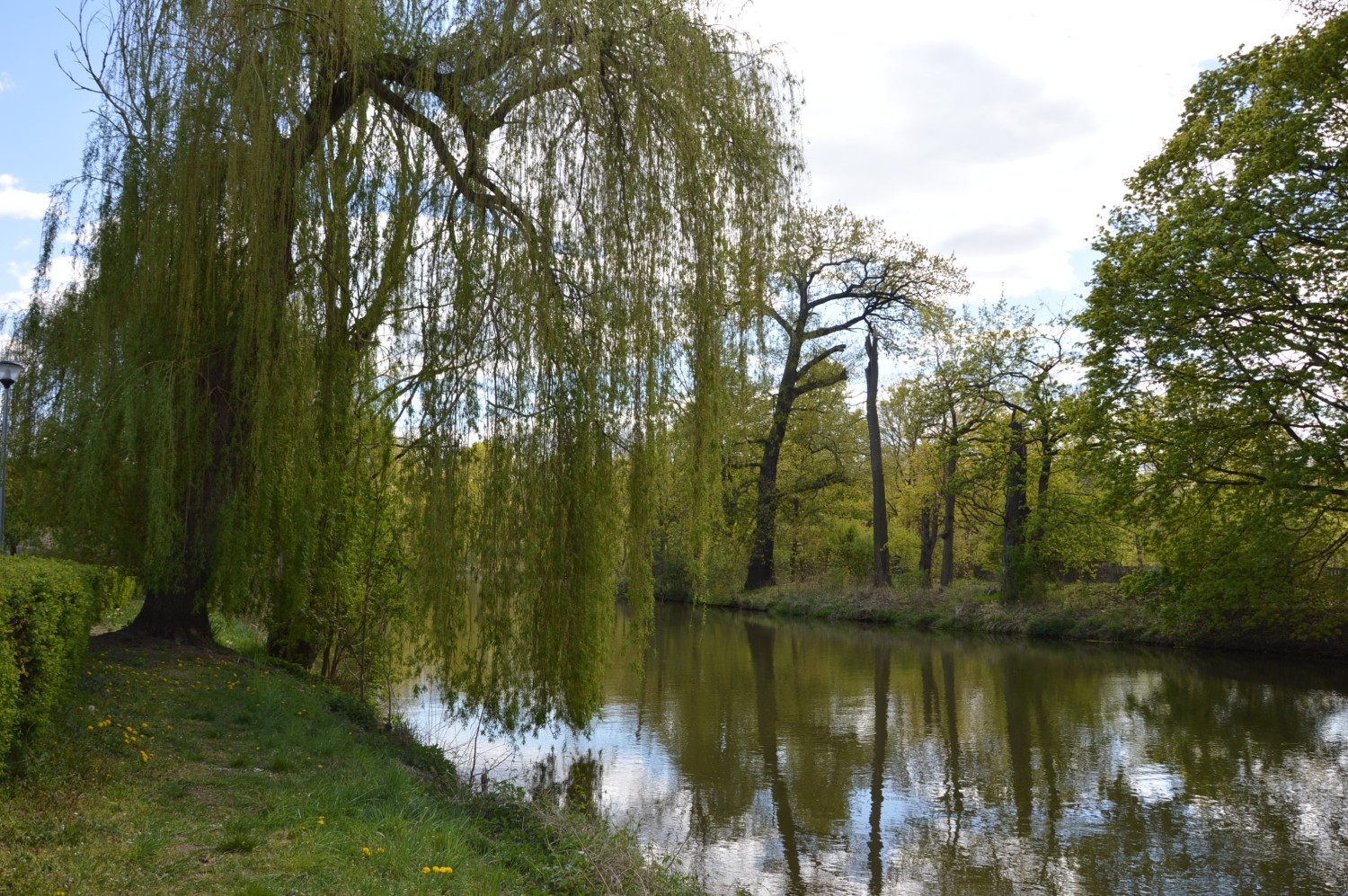 Park Książęcy w Żaganiu