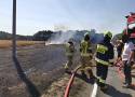 Strażacy z Pleszewa walczyli z kolejnym pożarem zboża na pniu w gminie Gizałki. Ogień niebezpiecznie zbliżał się do lasu