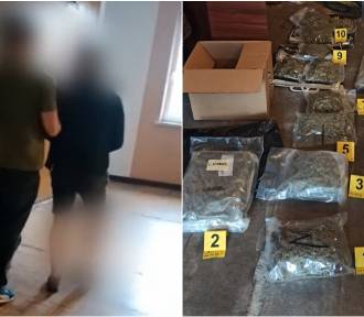 Gang narkotykowy w opałach. Tarnowska prokuratura nakazuje kolejne zatrzymania