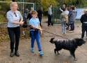 Około 200 osób wzięło udział w akcji „Dzień kundelka” w Radomiu. Wszystkie psy ze schroniska wyszły na spacer. Zobacz zdjęcia