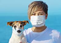 Koronawirus u psa – czy domowy pupil może chorować na COVID-19 i stanowić zagrożenie?