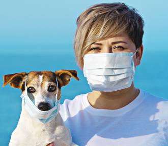 Koronawirus u psa – czy domowy pupil może chorować na COVID-19 i stanowić zagrożenie?