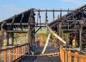 To dla nas tragedia. Ogromny smutek w Zoo Borysew po pożarze papugarni i małpiarni. W płomieniach zginęło 7 małp i 40 papug ZDJĘCIA