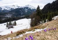Wielkanoc w Tatrach. Zobacz ciekawe i bezpieczne szlaki dla całych rodzin