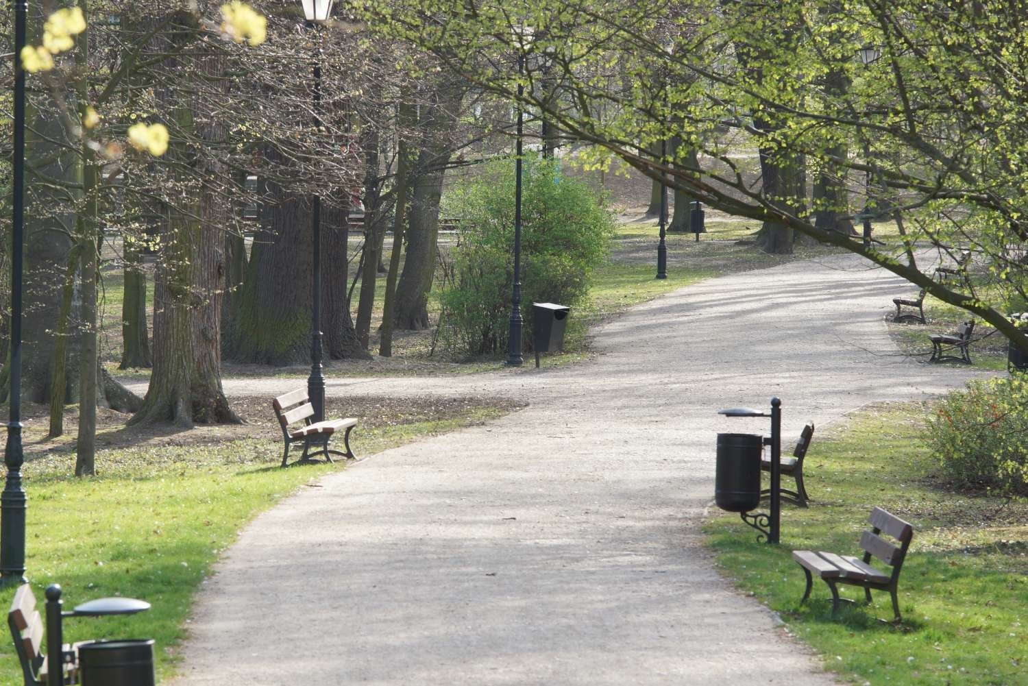 Park miejski w Kaliszu znów będzie otwarty dla mieszkańców. Przyroda już na Was czeka