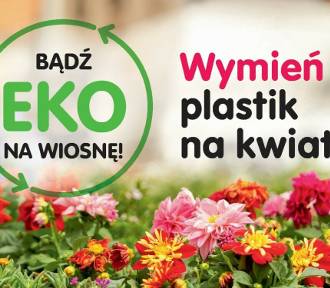 "Bądź eko na wiosnę". Przynieś plastikowe odpady, odbierz roślinę doniczkową