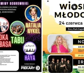 Darmowe koncerty plenerowe w ten weekend na Śląsku! Nosowska, Jamal i wielu innych