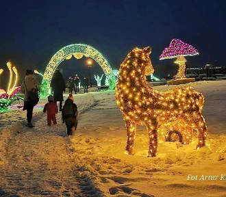 Muszyna odpaliła bajkowy ogród iluminacji świetlnych. To zimowa atrakcja uzdrowiska 