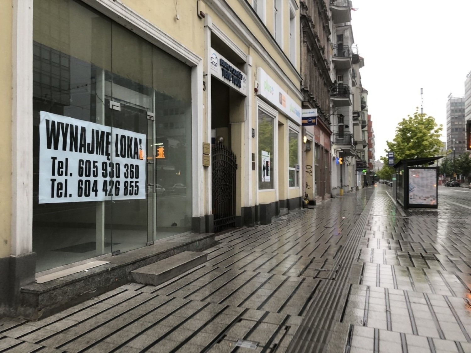 Na Świętym Marcinie przybywa lokali do wynajęcia