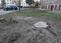 Dlaczego wycięto drzewa przy budynku Starostwa Powiatowego w Malborku?
