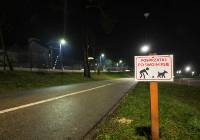 Ataki psów w Olkuszu. Agresywne zwierzęta nie mają ani kagańca ani smyczy