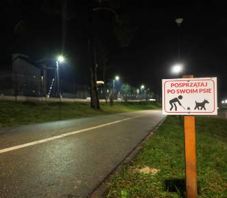 Ataki psów w Olkuszu. Agresywne zwierzęta nie mają ani kagańca ani smyczy
