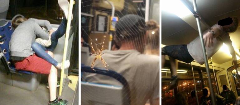 Zdjęcie artykułu z dnia 07-11-2025