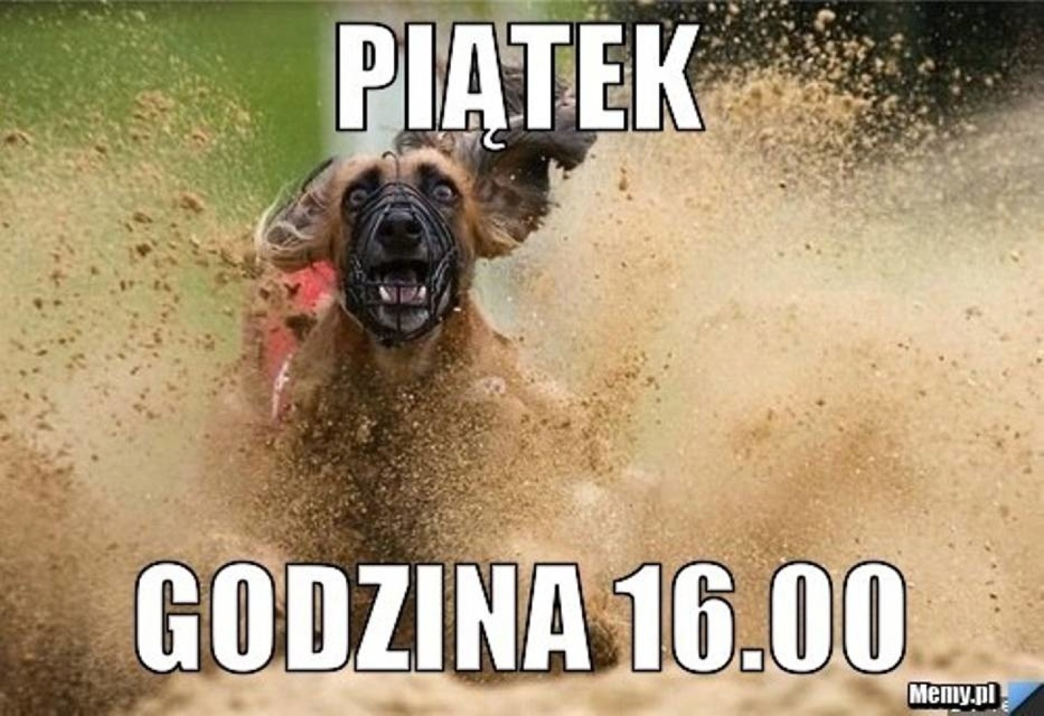 Kto z nas nie cieszy się z piątku? To zdecydowanie najlepszy dzień tygodnia