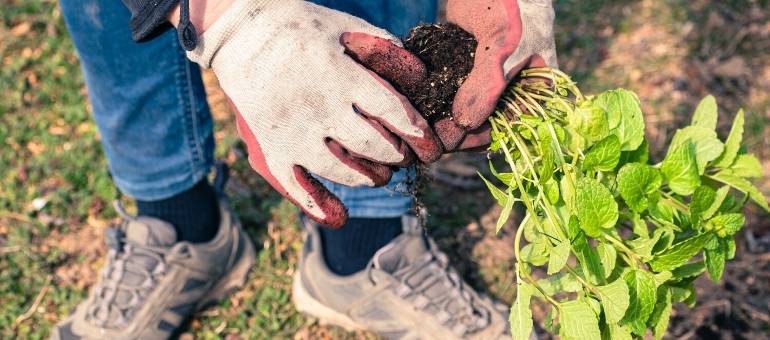 Zdjęcie artykułu z dnia 30-03-2026