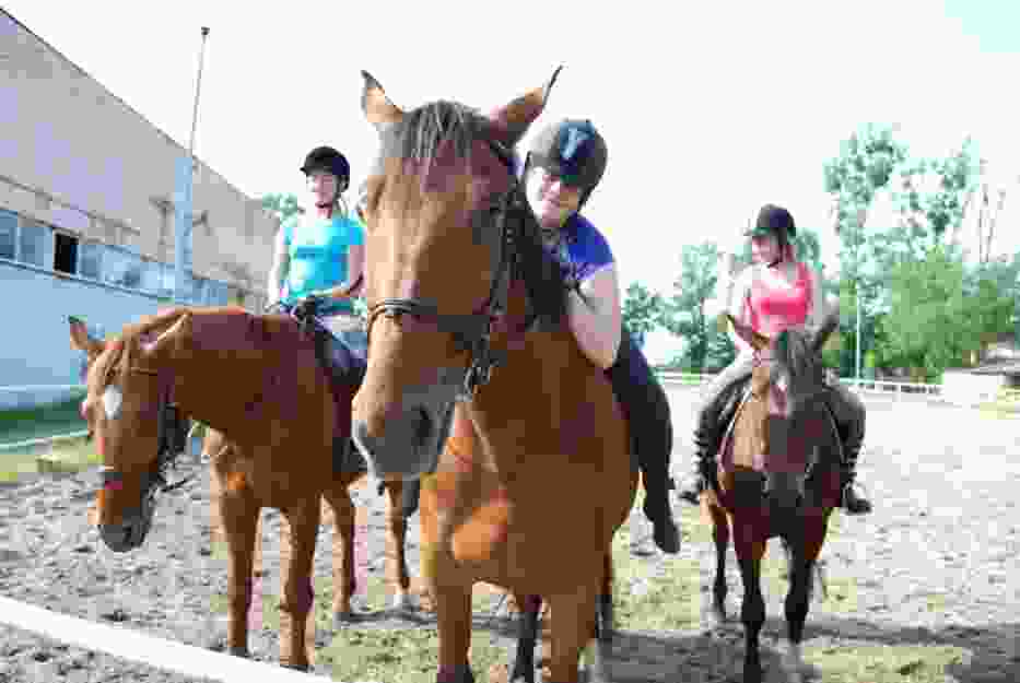 „Wakacje w siodle” w Ostrodze obejmują 5 dni zajęć w wymiarze 3 godzin dziennie.