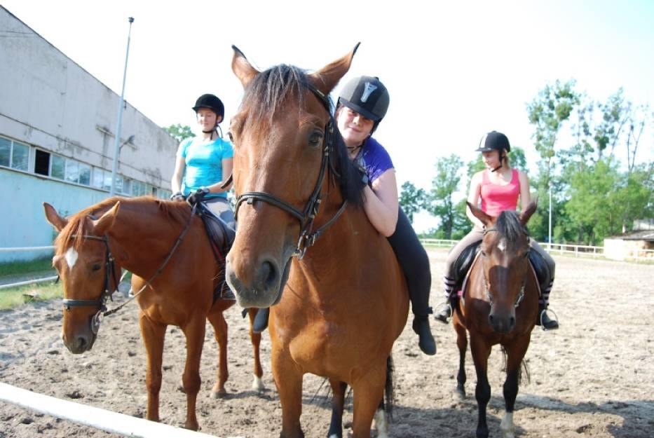 „Wakacje w siodle” w Ostrodze obejmują 5 dni zajęć w wymiarze 3 godzin dziennie.