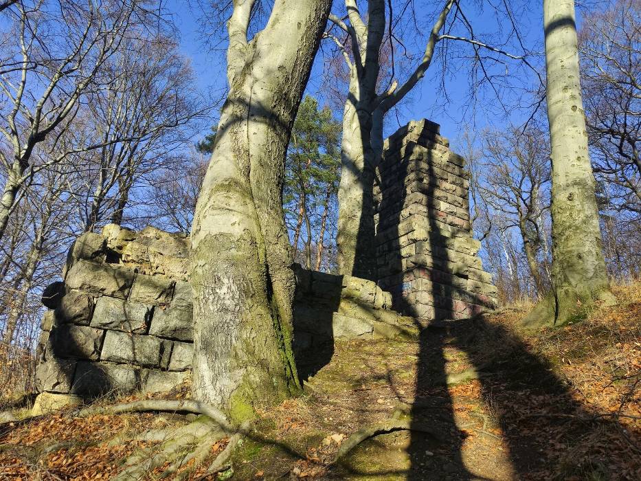 Tajemniczy pomnik w lesie w Wałbrzychu. Kiedyś na Dolnym Śląsku były ich setki, dziś o nich zapomniano - zdjęcia