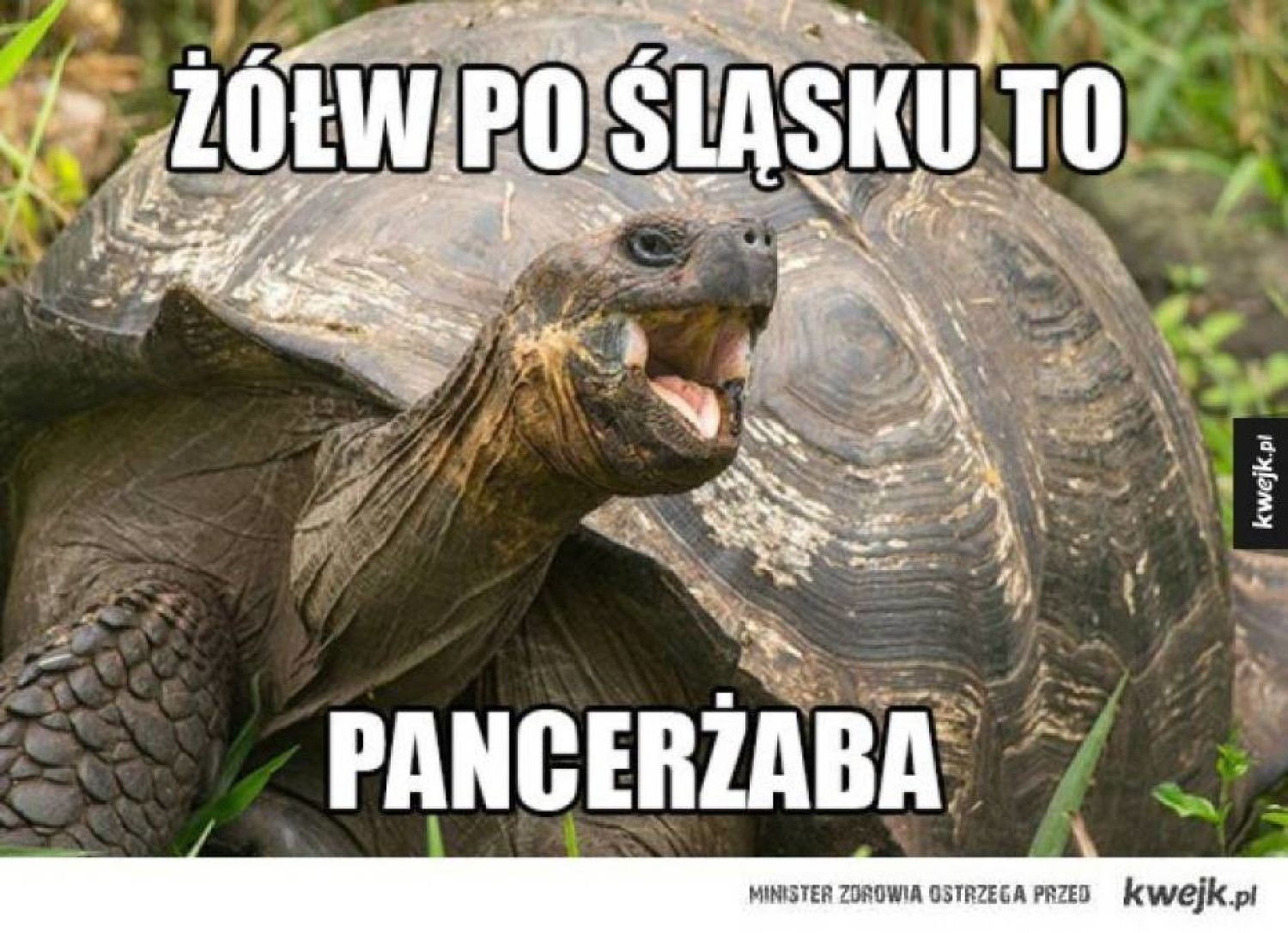 Najlepsze memy o Śląsku i Ślązakach