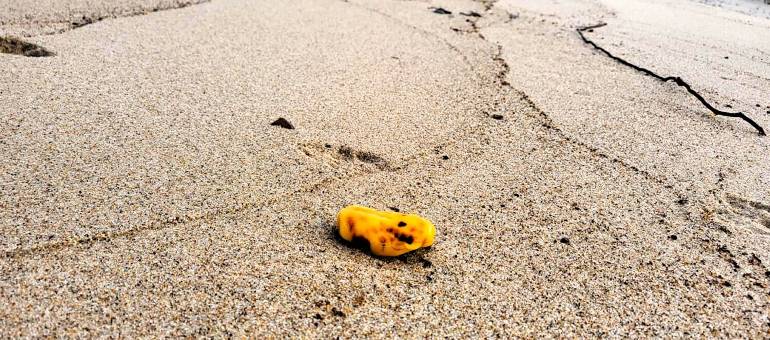 Zdjęcie artykułu z dnia 16-11-2025