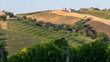 Włoskie miasto oferuje nielimitowane wino zupełnie za darmo. To nie żart