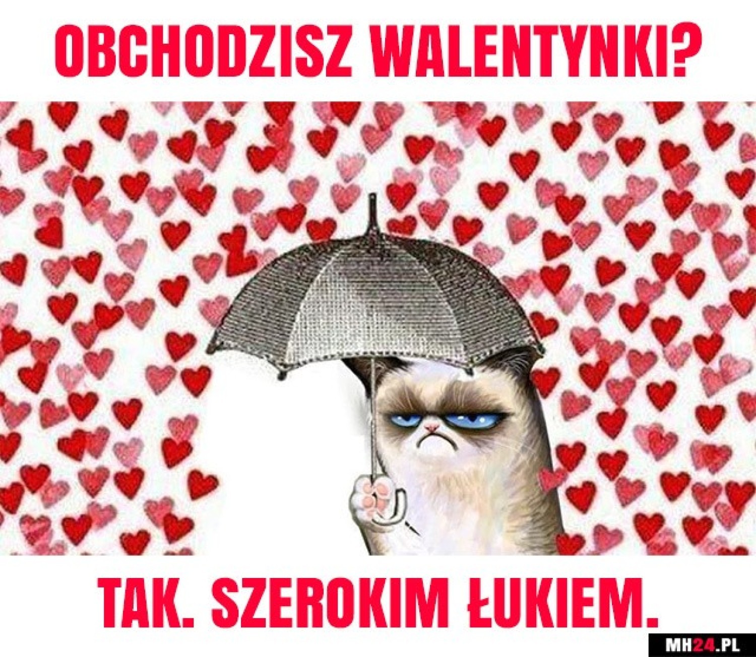 Zobaczcie najciekawsze i najśmieszniejsze walentynkowe memy i demotywatory