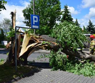 Wichura powaliła drzewo na ul. Reformackiej w Wieluniu FOTO
