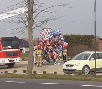Do Warszkowa przywiało... balony! Zdjęli je strażacy! Radość dla dzieci! ZDJĘCIA
