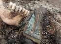 Masowe groby w ogrodzie wrocławskiej willi. Znaleziono szczątki ponad 120 osób