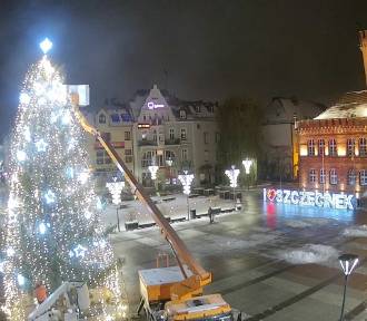 Szczecinecka choinka przed ratuszem już w pełnej krasie [zdjęcia]