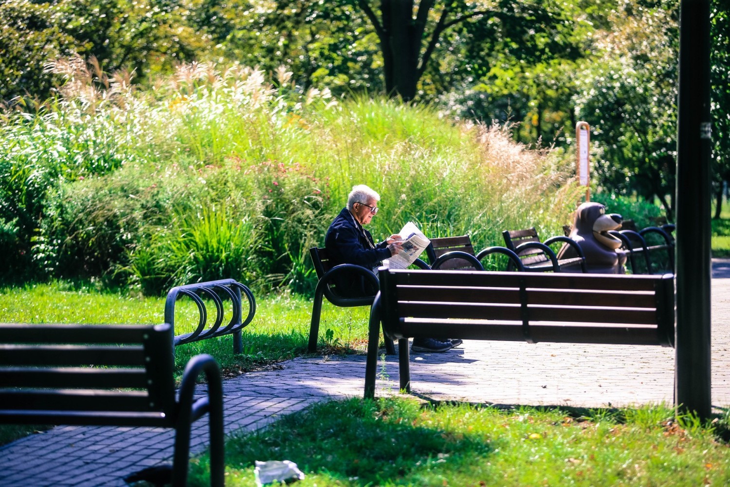 Park Alojzego BudniokaNajpiękniejsze parki w województwie śląskim