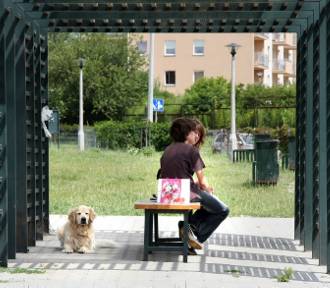 Gdzie powinny powstać nowe wybiegi dla psów w Krakowie? Mieszkańcy wskazali miejsca