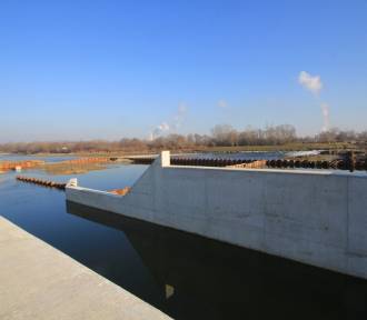 Budowa elektrownia wodnej na Dunajcu koło Tarnowa zagraża chronionym gatunkom ryb