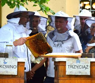 Ule trafiły do uczestników "Zostań bartnikiem - ratuj pszczoły" w powiecie olkuskim