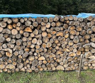 Ceny drewna opałowego na Dolnym Śląsku są stabilne. Ile kosztuje dąb, sosna i inne 