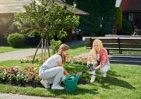 Zadbaj o dom i ogród na wiosnę. To dobry czas na inwestycje i upiększenie otoczenia