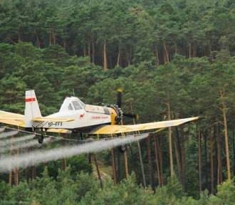 Opryski chemiczne będą prowadzone w lasach na terenie pow. sieradzkiego. Gdzie? MAPY