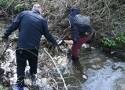Operacja Czysta Rzeka Radomka. II edycja akcji sprzątania brzegów rzeki w Radomsku już w maju [ZGŁOSZENIA]