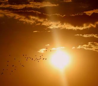 W Łódzkiem możliwy jest dzisiaj wysoki poziom ozonu w powietrzu. Kto powinien uważać?